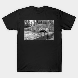 Duck in front of Sheepwash Bridge T-Shirt
